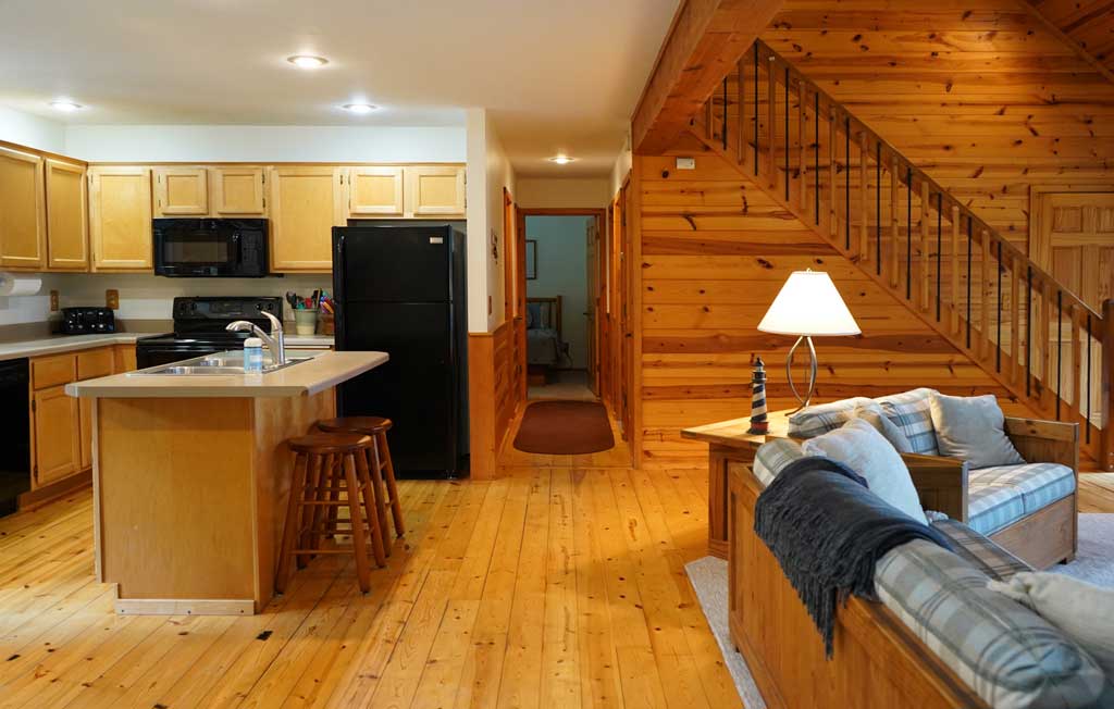 Carlson's Europe Lake Guest House Kitchen and Living Room